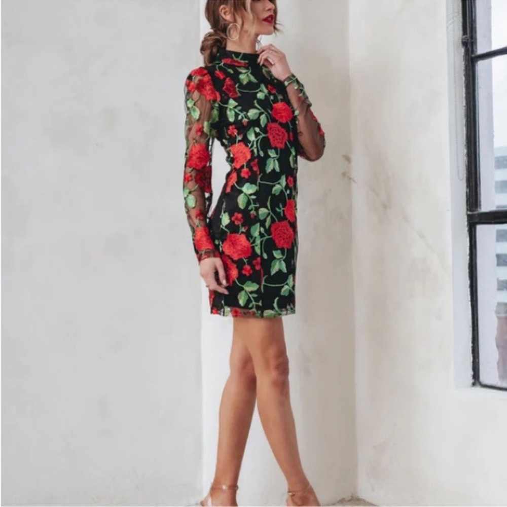 VICI Rose Embroidered Mini Dress
